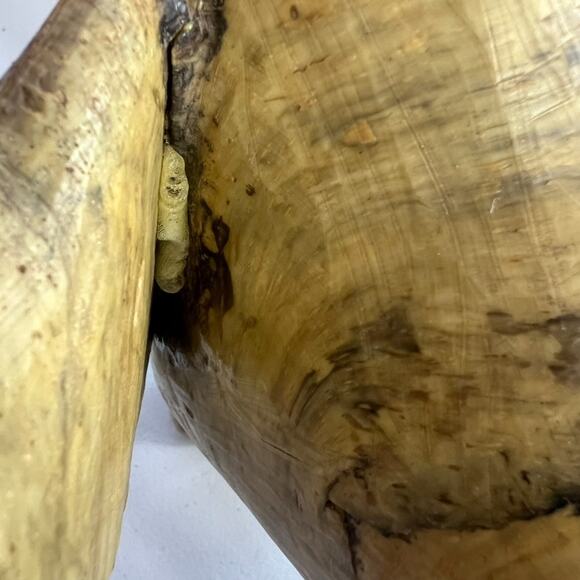 Vintage Crushed Oyster Shell Elephant Figurine 11"x 13" - Picture 13 of 15